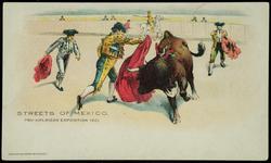 STREETS OF MEXICO. PAN-AMERICAN EXPOSITION 1901.
