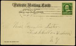ELECTRICAL ISLAND. SOUTH CAROLINA INTER-STATE AND WEST INDIAN EXPOSITION, CHARLESTON, S.C.

