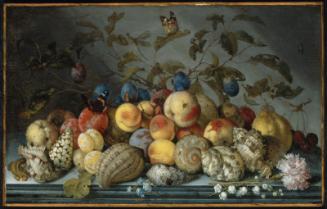 Still Life with Fruit and Shells