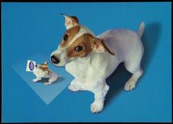 Fetch a M@X RACKS postcard from over 1500 locations nationwide.