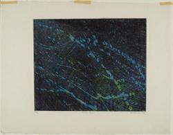 Pelagic Forms