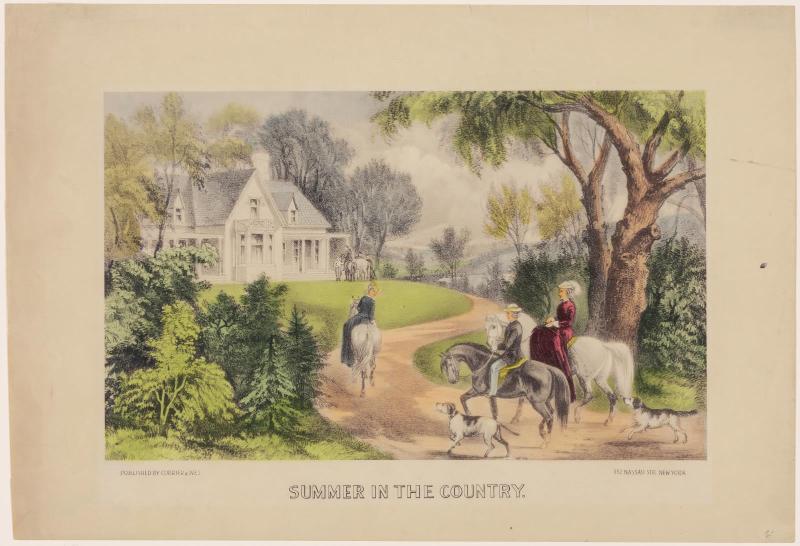 Summer in the Country