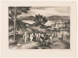 Lake Farm in Summer