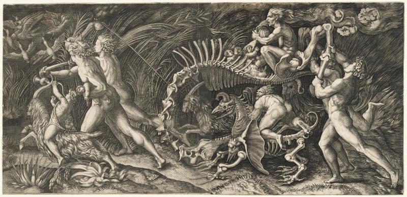 The Carcass