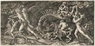 The Carcass