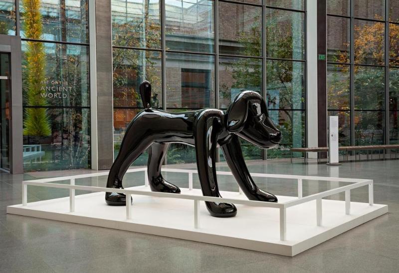 Your Dog