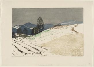 Snowy Landscape