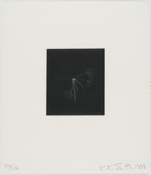 Dandelions (E)