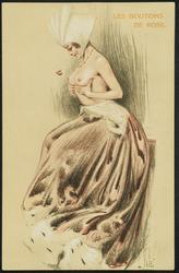 LES BOUTONS DE ROSE.