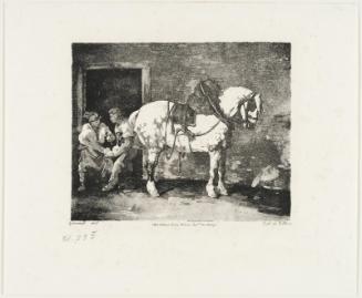 A Dappled Draft Horse Being Shod