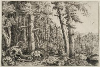 The Good Samaritan