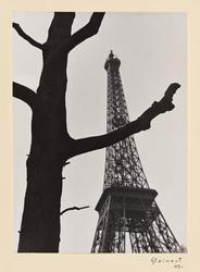 Structures en Fer et en Bois