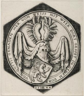 Coat of Arms with a Rampant Lion