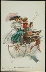 THE AMERICAN GIRL IN IRELAND
