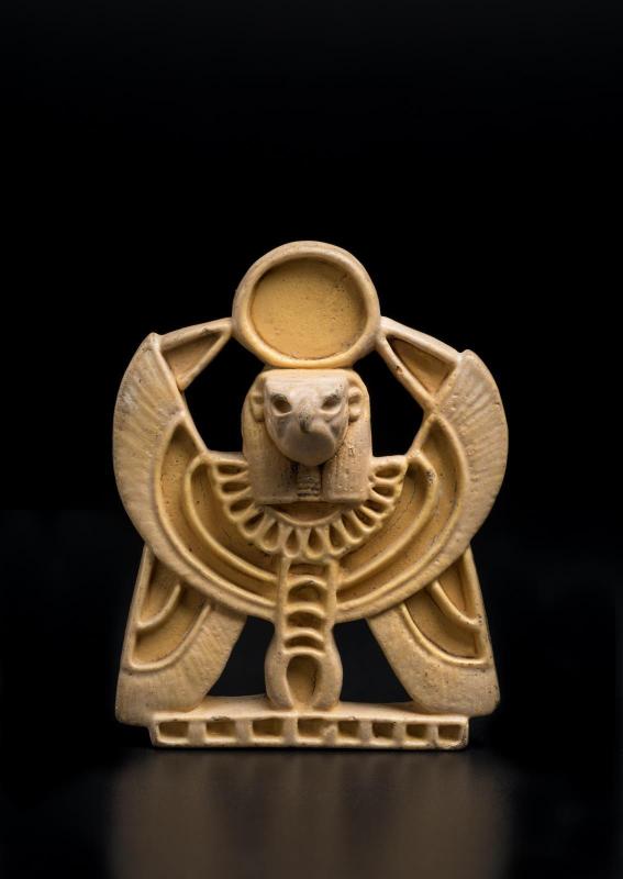 Falcon pectoral