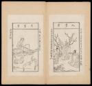 Pages 27-28
