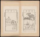 Pages 33-34