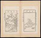 Pages 39-40