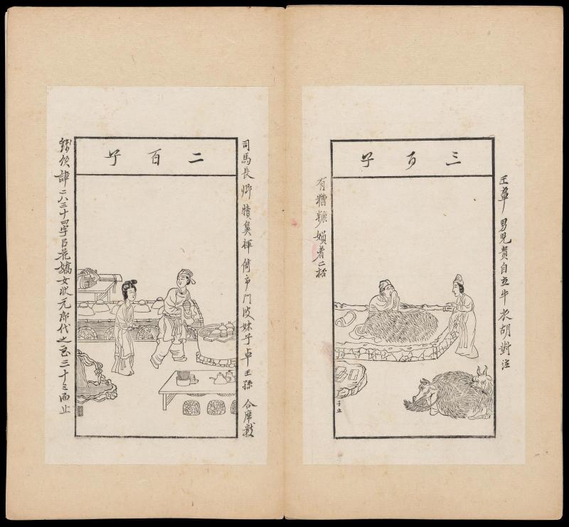 Pages 43-44