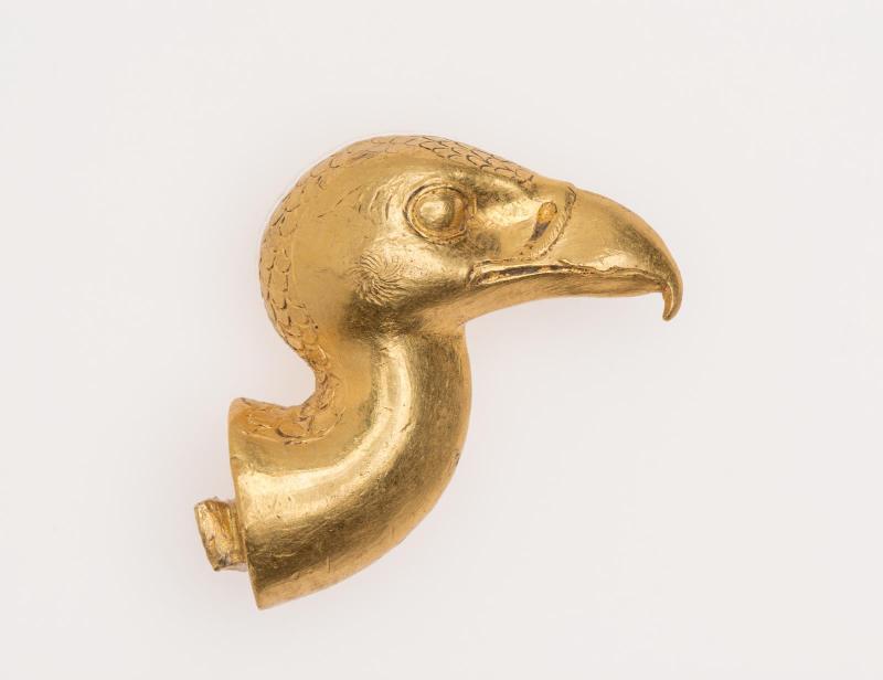 Head of a vulture