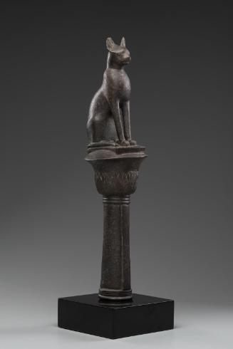 Cat on a column