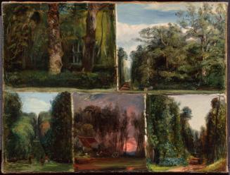 Forêt de Compiègne