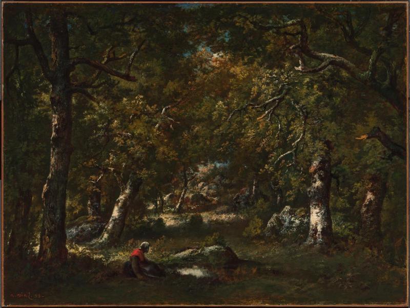 Pool in the Forest