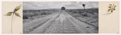 Last remaining house on fringe of simulated town over which a nuclear bomb exploded in 1955; Nevada Test Site; 1350 square miles; Nevada