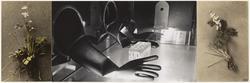 Robotic laboratory to deal with radioactive material; 43 square miles; Los Alamos, New Mexico