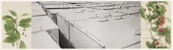 Advance supply of storage boxes for radioactive waste; Savannah River Plant; 300 square miles; Aiken, South Carolina