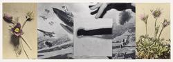 Demonstration of effects of laser on metal (plane body); Kirkland AFB; Albuquerque, New Mexico