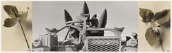 Loading of Hawk Missile; White Sands Missile Range; 3200 sq miles; New Mexico