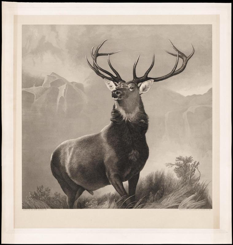 Monarch of the Glen