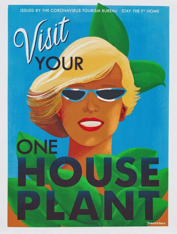 Visit Your One House Plant