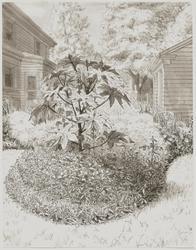 Summer Garden