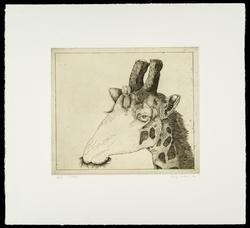 Untitled (Ten Etchings by George Whitman): Giraffe