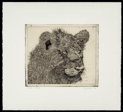 Untitled (Ten Etchings by George Whitman): Lioness