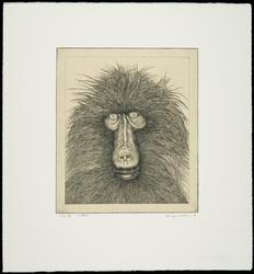 Untitled (Ten Etchings by George Whitman): Baboon