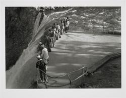 Lower Falls of the Yellowstone