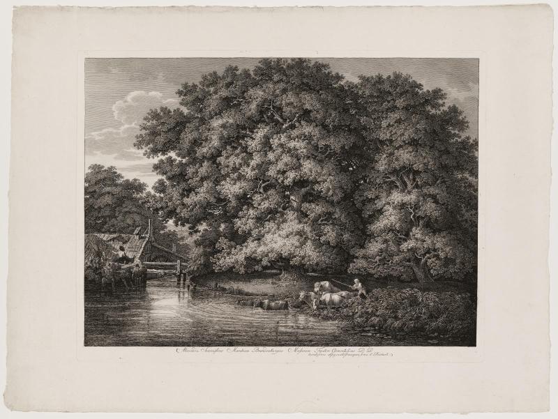 The Mill at the Great Oaks