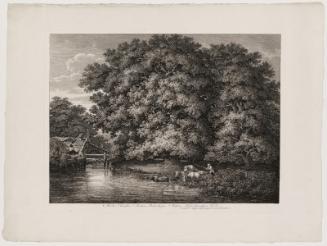 The Mill at the Great Oaks