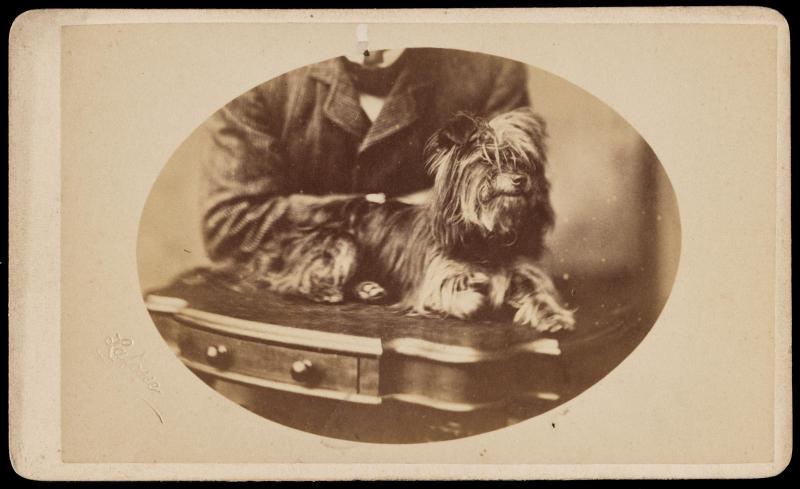 Untitled (Hidden Mother)