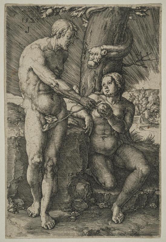 The Fall of Man