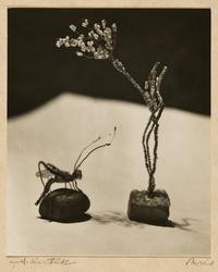 Sculpture Still Life, Paris
