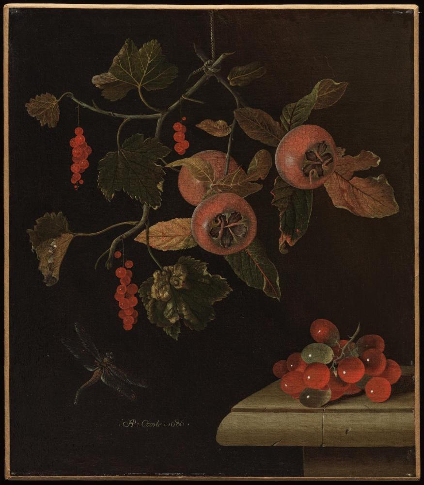 Still Life with Medlars and Gooseberries