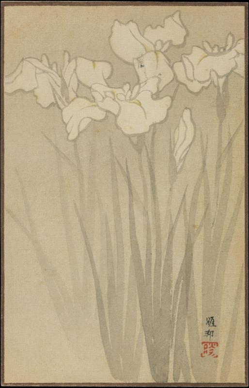 Iris from the series Sunbikai Cards by Gahô