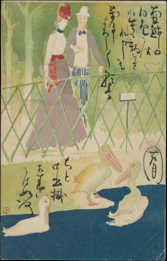 Looking at the Pelicans in the Park