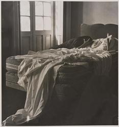 Untitled, from Oda a la Necrofilia