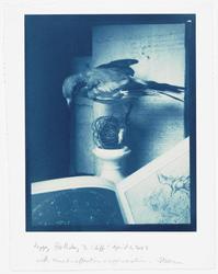 Bird/astronomy book