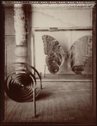 Forms of Flight